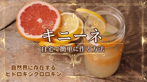 天然のヒドロキシクロロキン 🌟キニーネの作り方のサムネイル